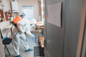 prevencion sanitaria